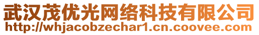 武漢茂優(yōu)光網(wǎng)絡(luò)科技有限公司