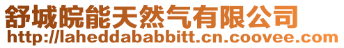 舒城皖能天然氣有限公司