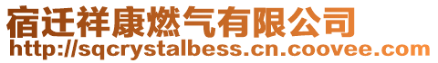 宿遷祥康燃?xì)庥邢薰? style=