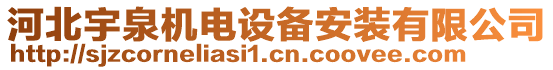 河北宇泉機(jī)電設(shè)備安裝有限公司