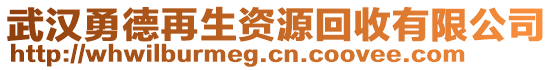 武漢勇德再生資源回收有限公司