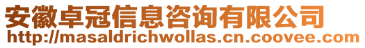 安徽卓冠信息咨詢有限公司