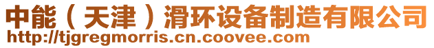 中能（天津）滑環(huán)設(shè)備制造有限公司