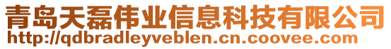 青島天磊偉業(yè)信息科技有限公司