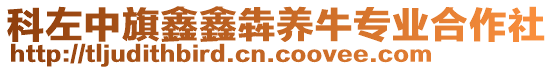 科左中旗鑫鑫犇養(yǎng)牛專業(yè)合作社