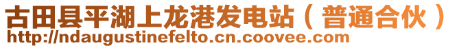 古田縣平湖上龍港發(fā)電站（普通合伙）