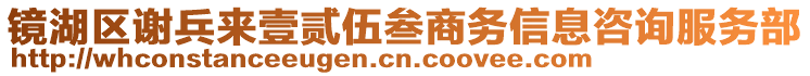 鏡湖區(qū)謝兵來壹貳伍叁商務(wù)信息咨詢服務(wù)部