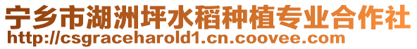 寧鄉(xiāng)市湖洲坪水稻種植專業(yè)合作社