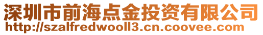 深圳市前海點金投資有限公司