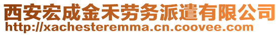 西安宏成金禾勞務派遣有限公司