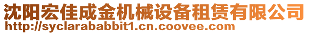 沈陽宏佳成金機械設(shè)備租賃有限公司