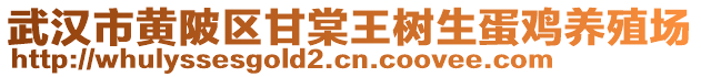 武漢市黃陂區(qū)甘棠王樹生蛋雞養(yǎng)殖場