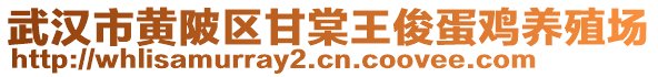 武漢市黃陂區(qū)甘棠王俊蛋雞養(yǎng)殖場