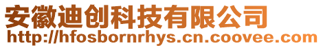 安徽迪創科技有限公司