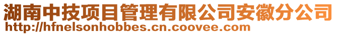 湖南中技項目管理有限公司安徽分公司