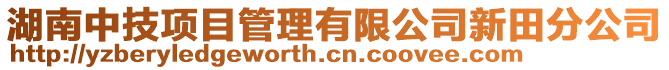 湖南中技项目管理有限公司新田分公司