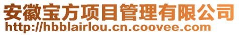 安徽寶方項(xiàng)目管理有限公司