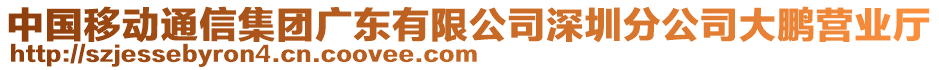 中國移動通信集團廣東有限公司深圳分公司大鵬營業廳