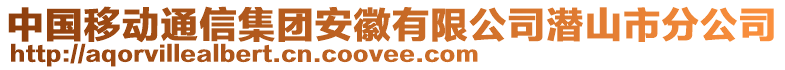 中國(guó)移動(dòng)通信集團(tuán)安徽有限公司潛山市分公司
