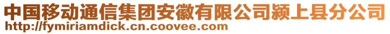 中國(guó)移動(dòng)通信集團(tuán)安徽有限公司潁上縣分公司