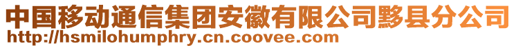 中國移動通信集團安徽有限公司黟縣分公司