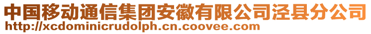 中國移動通信集團安徽有限公司涇縣分公司