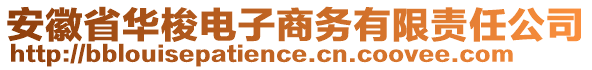 安徽省華梭電子商務有限責任公司