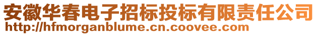 安徽華春電子招標(biāo)投標(biāo)有限責(zé)任公司