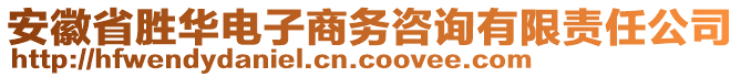 安徽省勝華電子商務(wù)咨詢有限責(zé)任公司
