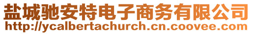 鹽城馳安特電子商務(wù)有限公司