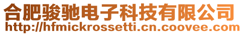 合肥駿馳電子科技有限公司