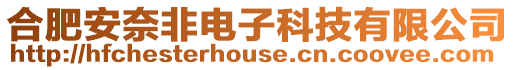 合肥安奈非電子科技有限公司