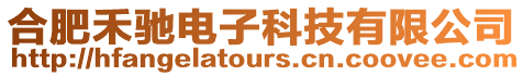 合肥禾馳電子科技有限公司
