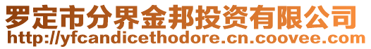 羅定市分界金邦投資有限公司