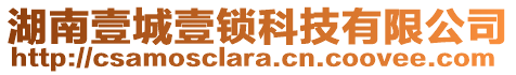 湖南壹城壹鎖科技有限公司