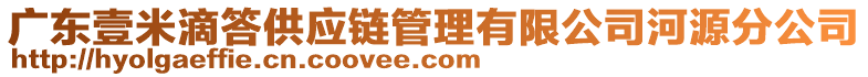 廣東壹米滴答供應鏈管理有限公司河源分公司