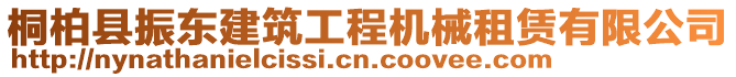 桐柏縣振東建筑工程機(jī)械租賃有限公司