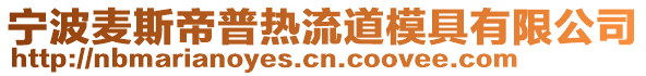 寧波麥斯帝普熱流道模具有限公司