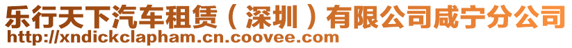 樂行天下汽車租賃（深圳）有限公司咸寧分公司