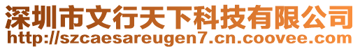 深圳市文行天下科技有限公司