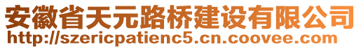 安徽省天元路橋建設(shè)有限公司