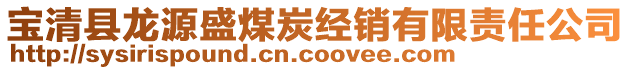 寶清縣龍源盛煤炭經銷有限責任公司