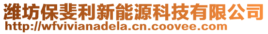 濰坊保斐利新能源科技有限公司