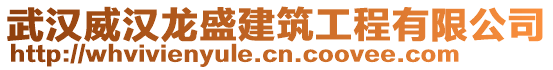 武漢威漢龍盛建筑工程有限公司