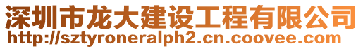 深圳市龍大建設工程有限公司