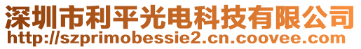 深圳市利平光電科技有限公司