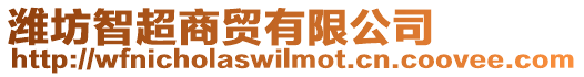 濰坊智超商貿有限公司