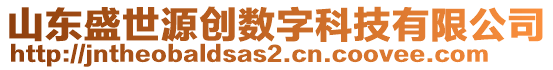 山東盛世源創(chuàng)數(shù)字科技有限公司