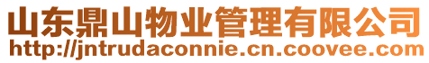山東鼎山物業(yè)管理有限公司