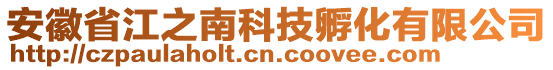 安徽省江之南科技孵化有限公司